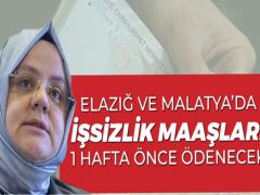 İŞSİZLİK ÖDENEĞİ ÖDEMELERİ YARIN YAPILACAK