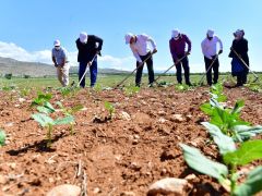 Yeşilyurt’ta tarımsal üretim ve Ar-Ge sahası kuruldu