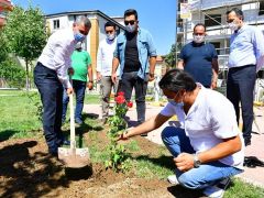 Başkan Çınar, Gül Parkında fideleri toprakla buluşturdu