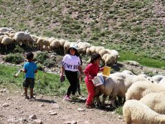 Yayladaki çocuklar EBA TV’den faydalanamıyor