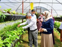 Çınar, kadın girişimcileri sera alanında ağırladı