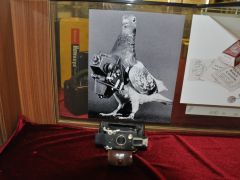 1907 İngiltere yapımı casus fotoğraf makinesi müzenin ilgi odağı