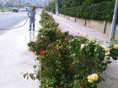 Rengarenk çiçekler cadde ve sokaklara yeni güzellikler katıyor