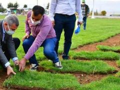 Yeşilyurt Belediyesi tarımsal üretimlerde ilkleri gerçeğe dönüştürüyor