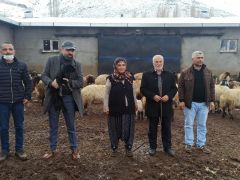 Malatya’da kuzulama dönemi başladı