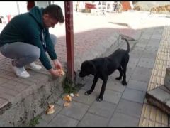 Gerçek güvenlik kamerasında ortaya çıktı