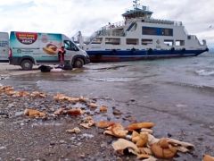 Malatya’da sokak hayvanları unutulmuyor