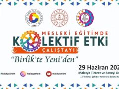 Mesleki eğitimde kolektif etki çalıştayı  düzenlenecek