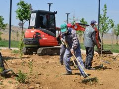 Yeşil hedef tam gaz