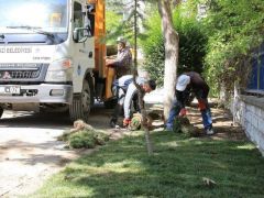 Daha yeşil bir Battalgazi’nin çalışmaları sürüyor