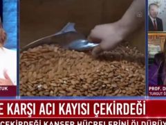 Rektör Karabulut, acı kayısı çekirdeğinin kanser hücrelerine etkisini anlattı