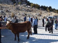 Belediye Başkanı Kazgan’a hizmet teşekkürü