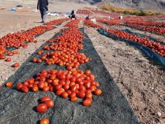 Kaynarca kırmızıya büründü