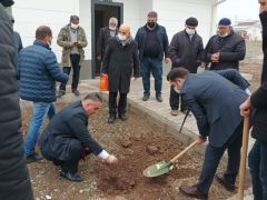 Deprem konutlarının etrafı yeşillendirilmeye başladı