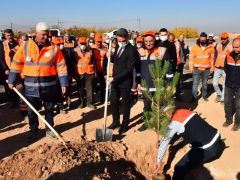 Malatya’da Karayolları ve Kavşaklar Ağaçlandırıldı