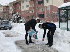 Arapgir Belediyesi sokak hayvanlarını unutmadı