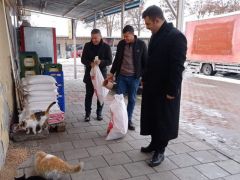 Arguvan’da sokak hayvanları unutulmadı