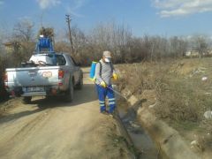 Büyükşehir Belediyesi Haşereyle Mücadele Çalışmalarına Devam Ediyor