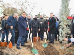 Hemşeri Dernekleri Ağaç Dikti