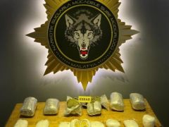 Uyuşturucu Tacirleri Botani’nin Hassas Burnundan Kaçamadı