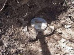 Muş’ta Toprağa Gömülü Halde Patlayıcı Ele Geçirildi