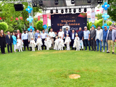 MİAD Çocuk Evleri Sitesinde Sünnet Töreni Gerçekleştirildi