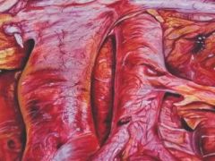 İnönü Üniversitesi’nin İlk Onkoloji Kitabı Yayımlandı