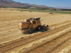 Çınar, “Arpa Üretimi İle Çiftçilerimize Yeni Destekler Sunuyoruz”