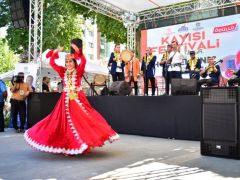 25. Kayısı Festivali Kapsamında TÜRKSOY Gösterisi Düzenlendi
