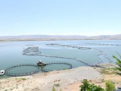 Arguvan’da Tarıma Dayalı Su Ürünleri Yetiştiriciliği OSB Kuruluyor