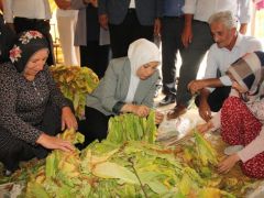 Çalık Tütün Üreticileriyle Bir Araya Geldi