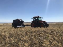 Arguvan’da Nohut Hasat Tarla Günü  Yapıldı