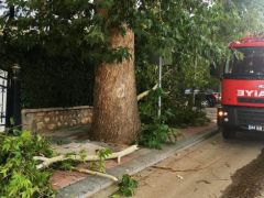 Akçadağ’da Şiddetli Fırtına Etkili Oldu