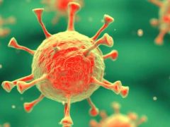 Sağlık Bakanlığı Haftalık Kovid-19 Verilerini Açıkladı