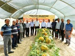 Başkan Çınar Kavun Hasadı Şenliğine Katıldı