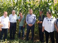 Akçadağ’da Mısır Hasat Tarla Günü Yapıldı