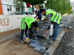 Başkan Çınar Çalışmaları İnceledi