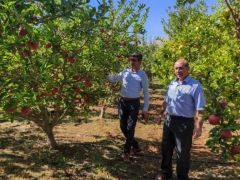 Esenlik’tan Yerli Üreticiye Destek