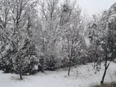 Malatya’da Kar Yağışı Etkili Oluyor