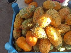 Arapgir’de Boynuzlu Kavun “Kiwano” Yetiştirildi