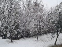 Malatya Güne Karla Uyandı