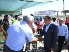 Başkan Gürkan Canlı Hayvan Pazarında İncelemelerde Bulundu