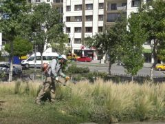 Park ve Bahçelerde Bakım Çalışmaları Başladı