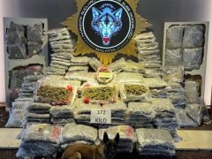 Polis 372 Kg SKUNK  Maddesi Ele Geçirdi