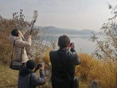 Kent Konseyinden Fotoğrafçılık Eğitimi