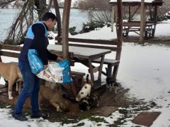 Battalgazi Belediyesi Sokak Hayvanlarını Unutmadı