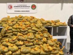 İstanbul Havalimanı’nda 568 Kilogram Uyuşturucu Ele Geçirildi