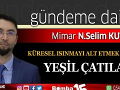 Küresel ısınmayı alt etmek için yeşil çatılar