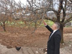 Sadıkoğlu: “Verilecek destekler sadece kayısıyı değil, şehrimizin geleceğini ilgilendiriyor”