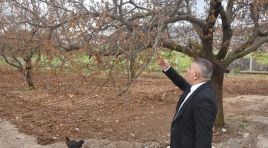 Sadıkoğlu: “Verilecek destekler sadece kayısıyı değil, şehrimizin geleceğini ilgilendiriyor”